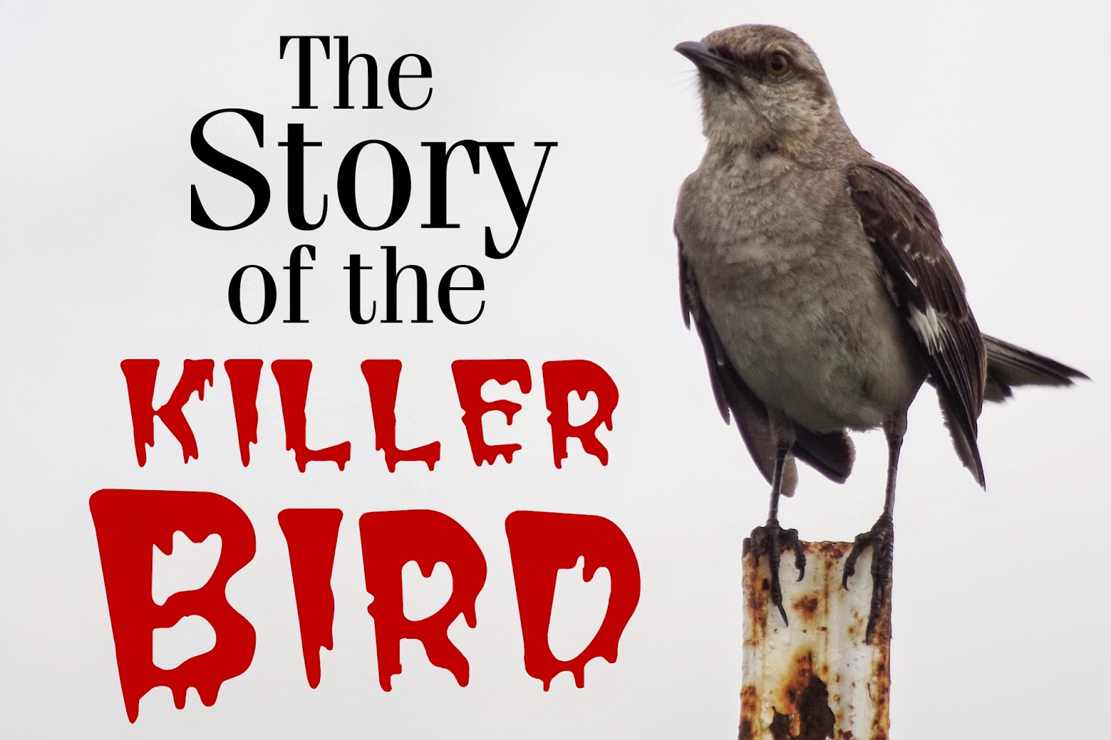 Heart of the King Farm A Small Lesson in Space Management