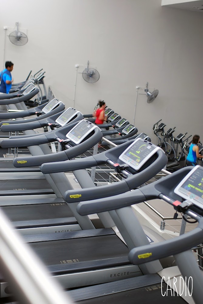 Fitness First Gym Parramatta Cardio Room