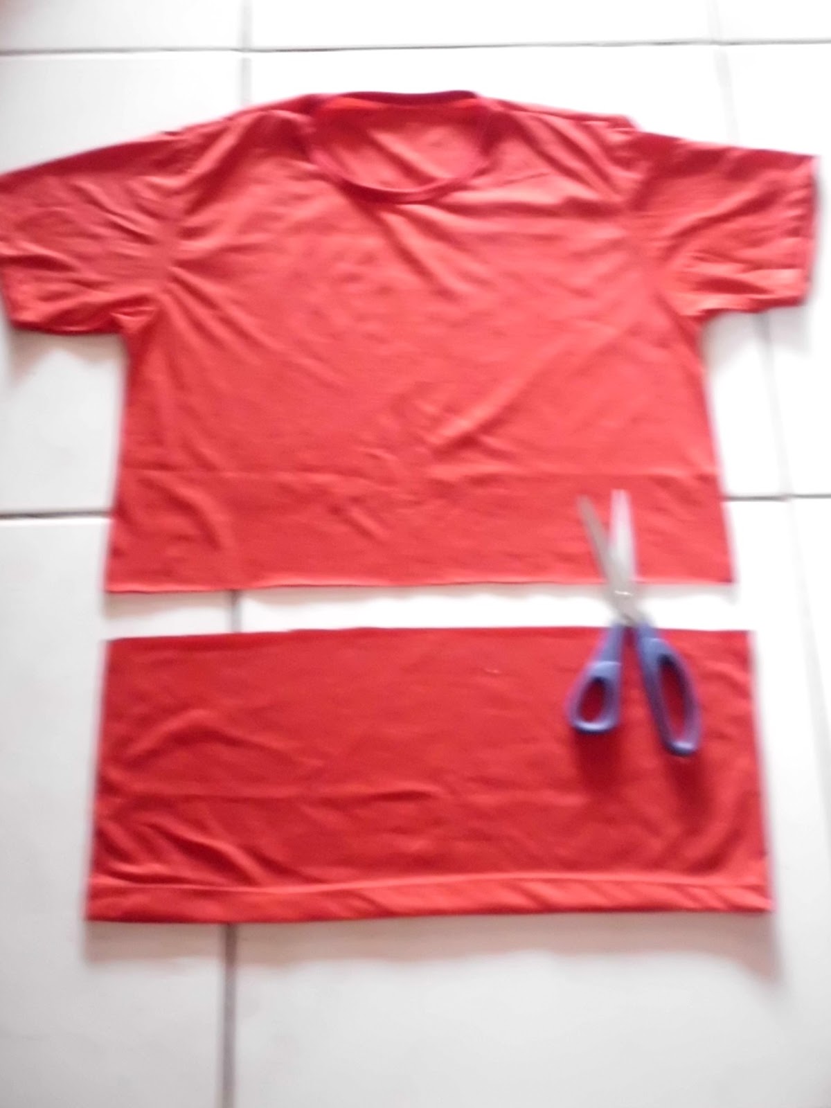 Passarinho Americano Como fazer sua Cropped TShirt