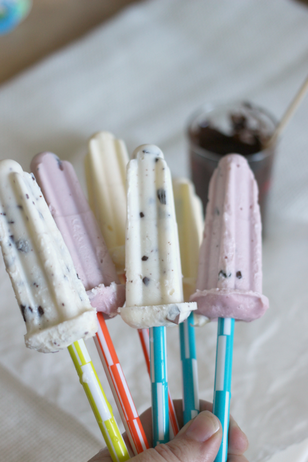 Mama Loves Food! Dark Chocolate Dipped Frozen Yogurt Bars
