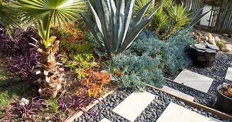 Diseño de jardines: xerojardineria y plantas crasas | Verde Jardín