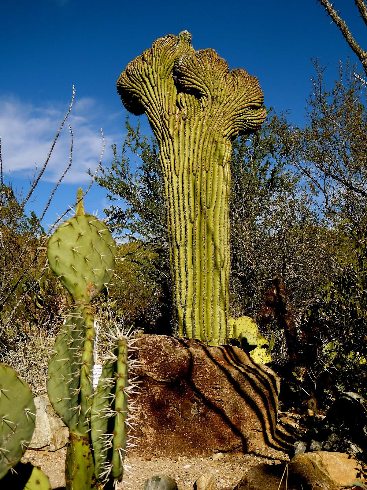 DANGER, DANGER, DANGER...!!!