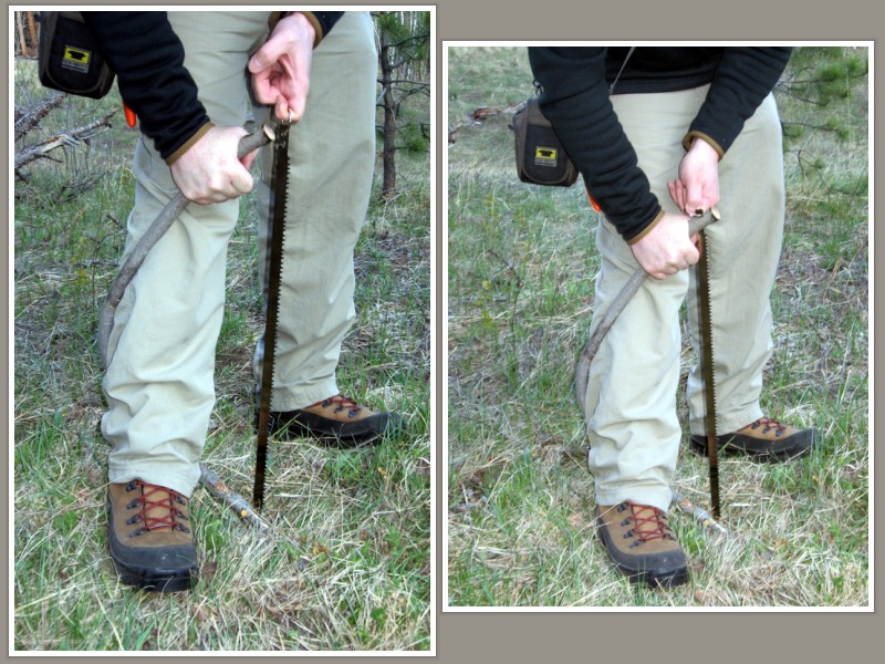 Rocky Mountain Bushcraft How to Build a Primitive Bow Saw in the