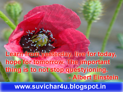 Learn from yesterday, live for today, hope for tomorrow. The important thing is to not stop questyioning. 