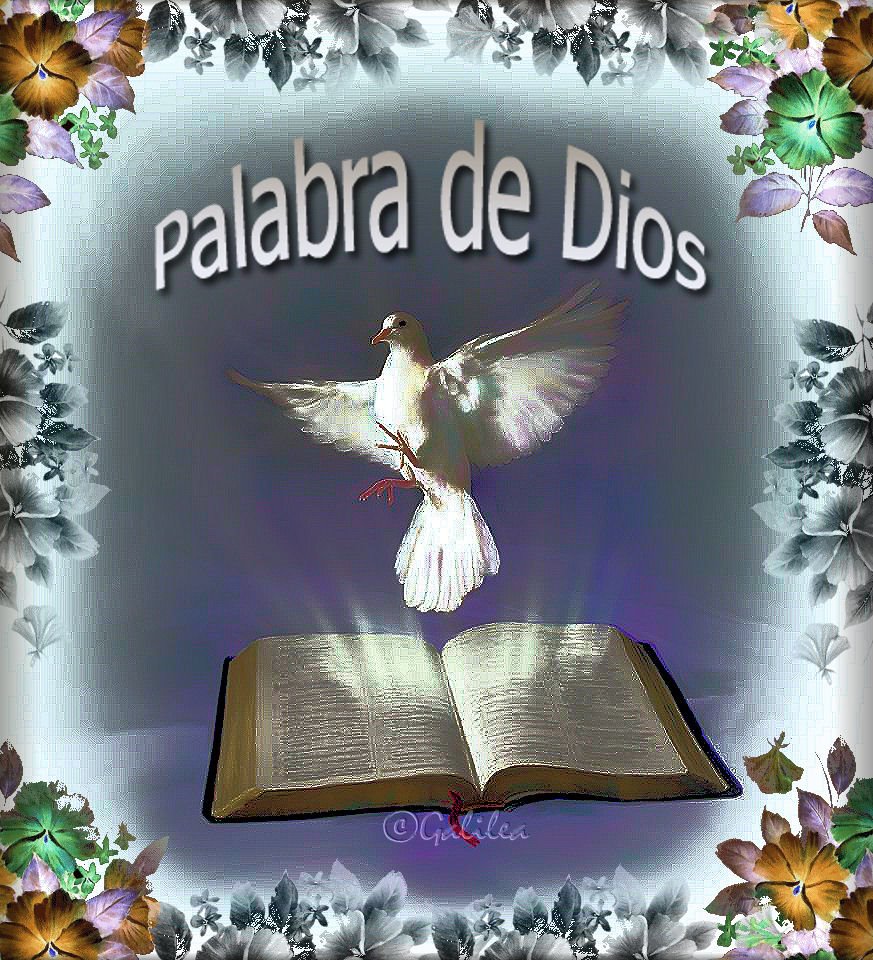 Romanos 8 18 23
