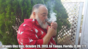 Aramis Gonzalez Gonzalez, Octubre 28, 2013 En Tampa, Florida, Estados Unidos
