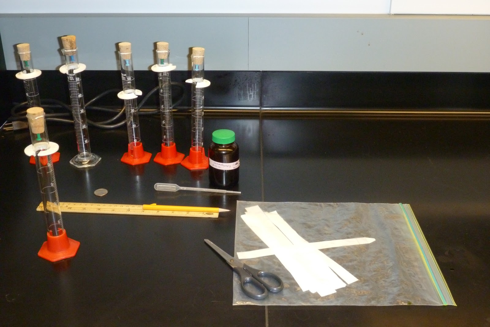 Honors Biology Lawrenceville DPIP Lab Set Up