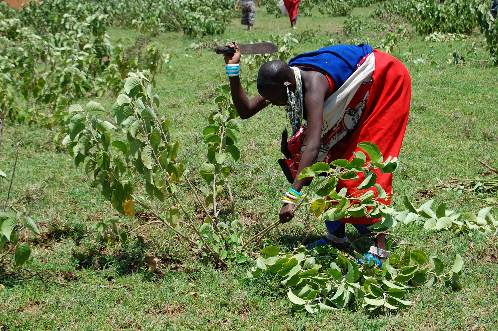 to the ends of the earth Maasai Widows Farming God's Way Training
