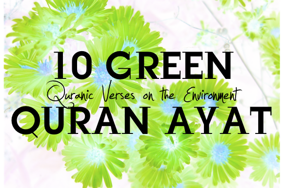 10 Quran Verses On The Environment And Do-able Action Plans | @TheEcoMuslim