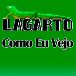 Lagarto como eu vejo