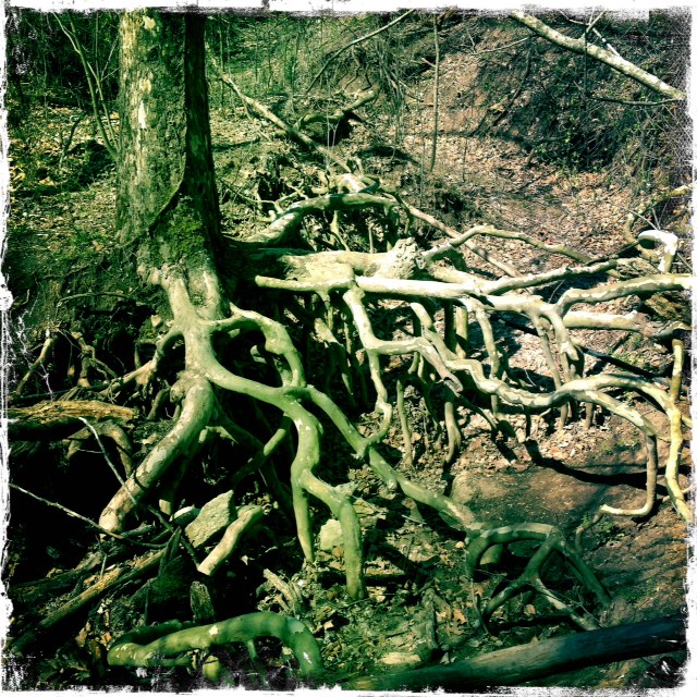 KeepTulsaLocal Redbud Valley Nature Preserve