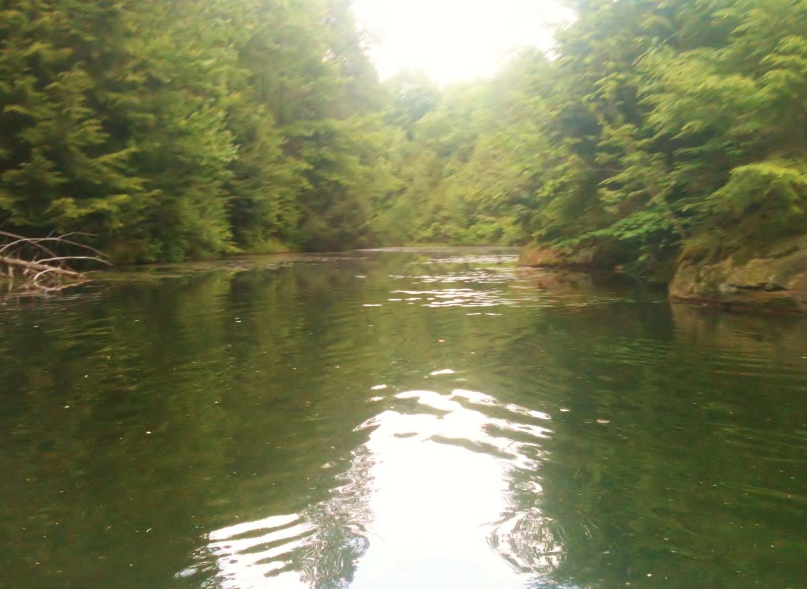 A Free Spirit's Bucket List 208 Try Kayaking