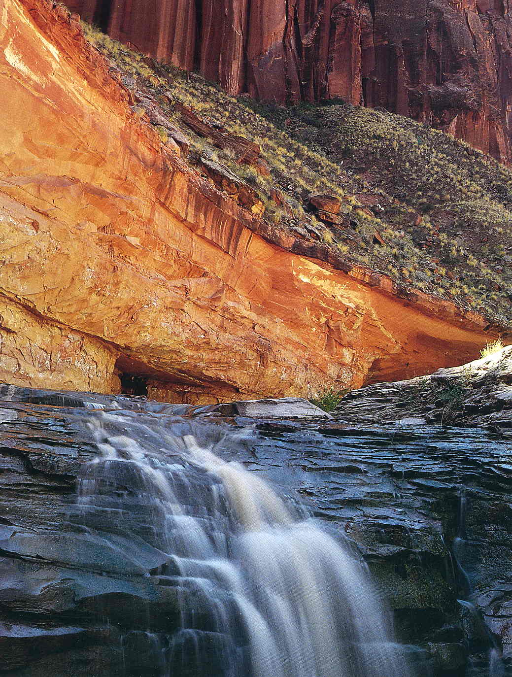 THE PHOTOGRAPHY FILES Eliot Porter