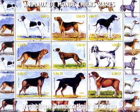 2000年コンゴ民主共和国　Handen hound ケリー・ビーグル　Levesque ポーリッシュ・ハウンド　Posavac Hound　Brazilian Tracker Schller Hound　Smalands Hound　ベルジアン・マスティフなど希少犬種12種の切手シート