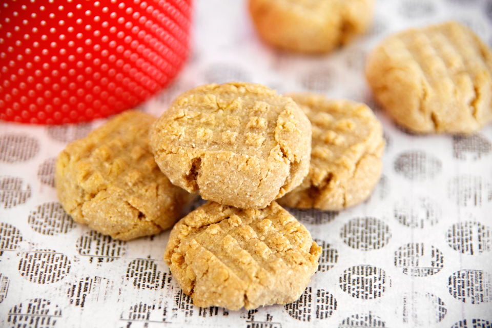 Dalmatian DIY {RECIPE} Easy Peanut Butter Dog Biscuits