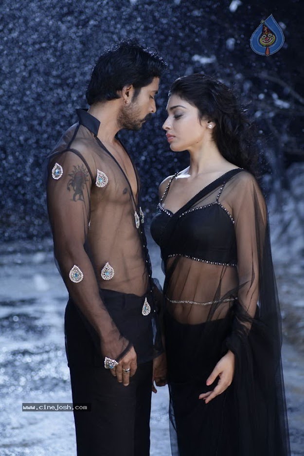 Sriya saran in transparent black sari - (2) -  Shriya Saran Super hot photos from new movie Chandra