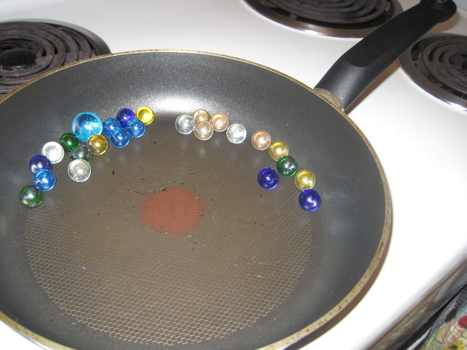 The Wife Life Lost My Marbles