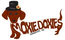 Edmonton Moxie-Doxies