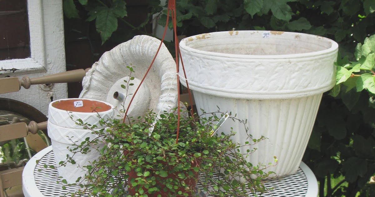 sisters garden: Tuesday Treasures