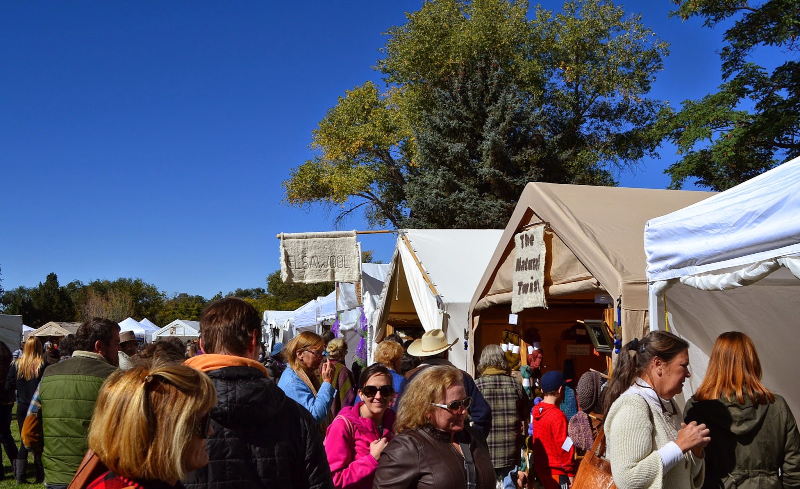 Robin Ulrich Studio EnchantingTaos Part I, the Wool Festival