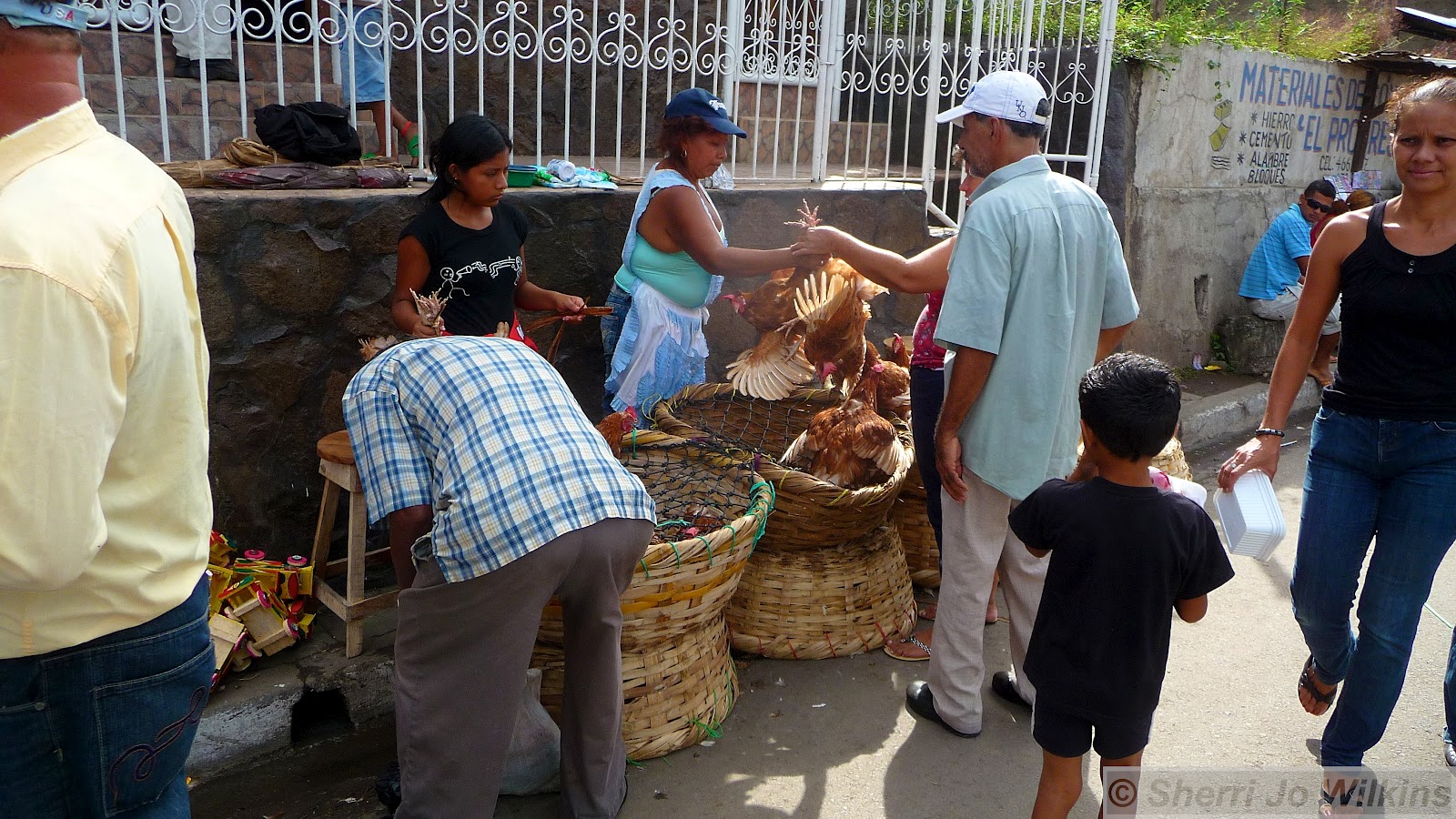 http://3.bp.blogspot.com/-Y_NPOyJnMuk/T_Bi-KE6gzI/AAAAAAAAJQY/Oz7mtqZzvLc/s1600/Grenada+Nicaragua+market+chickens+2266.jpg