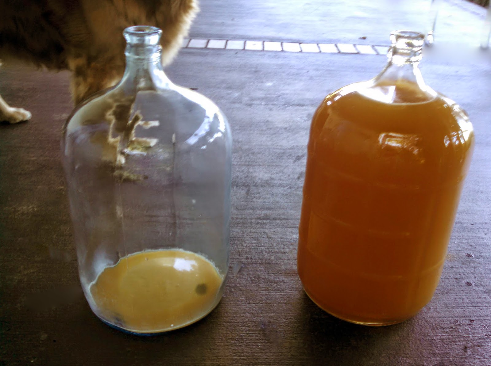 Hard Cider From Heirloom Apples Time to Decant