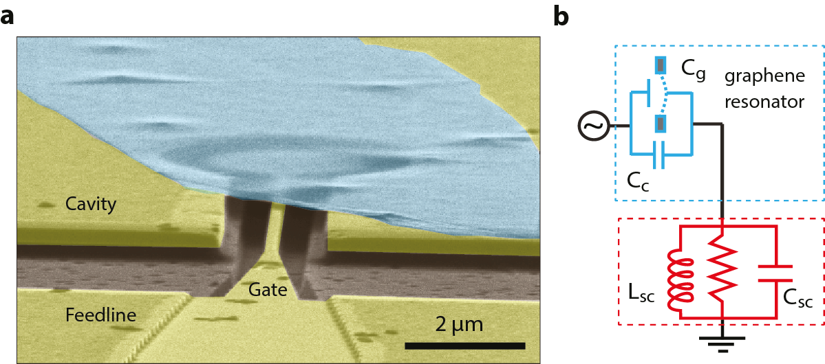 2Physics Optomechanical Coupling between a Multilayer Graphene