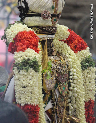 2015, Kodai Utsavam, Venkata Krishnan Swamy, Parthasarathy Temple, Thiruvallikeni, Triplicane,Day 07
