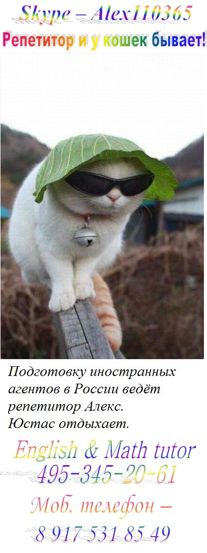 Программы элективных курсов по химии 8 класс
