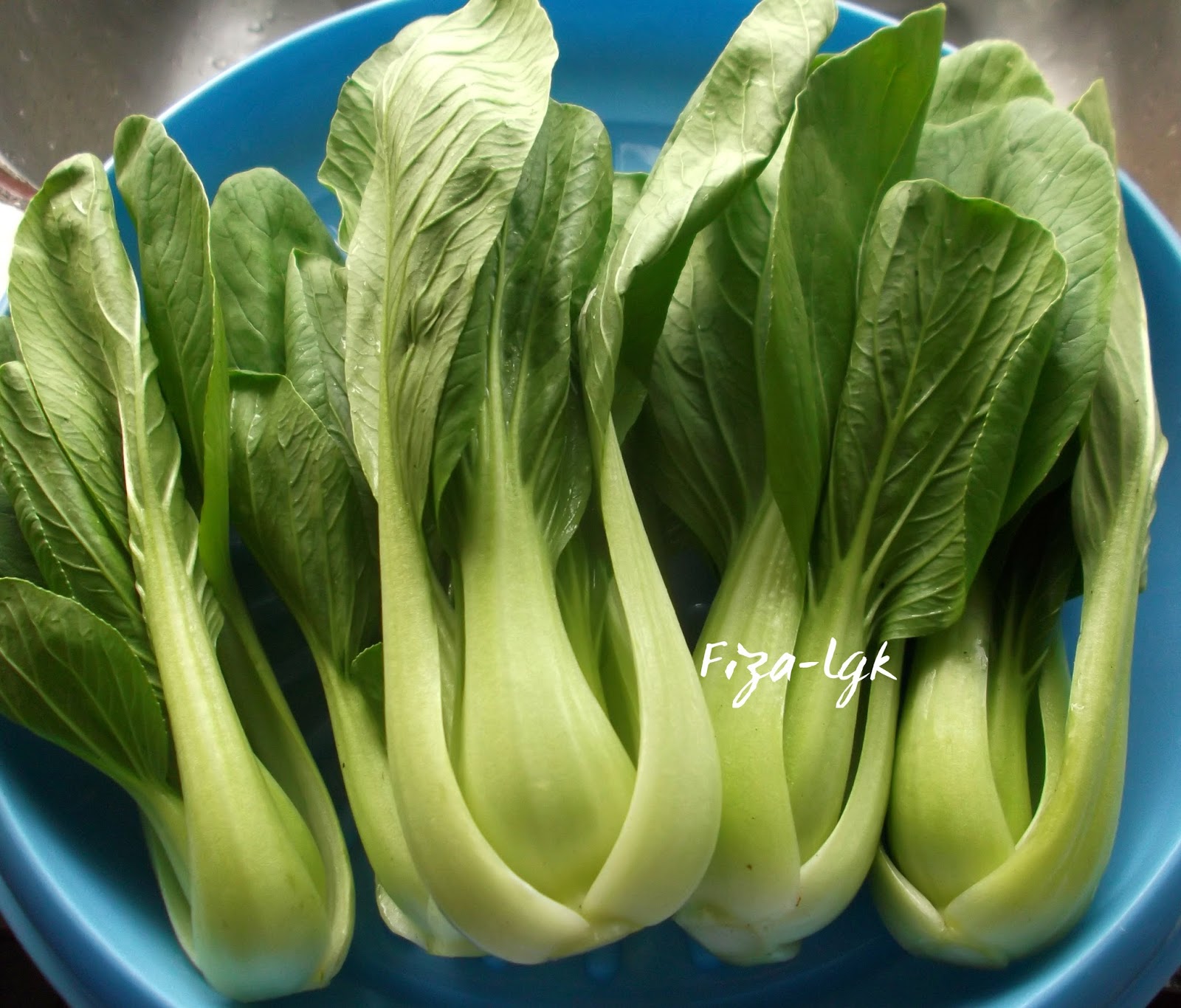 SAYUR BOK CHOY KUKUS DENGAN SOS BAWANG PUTIH | Fiza's Cooking