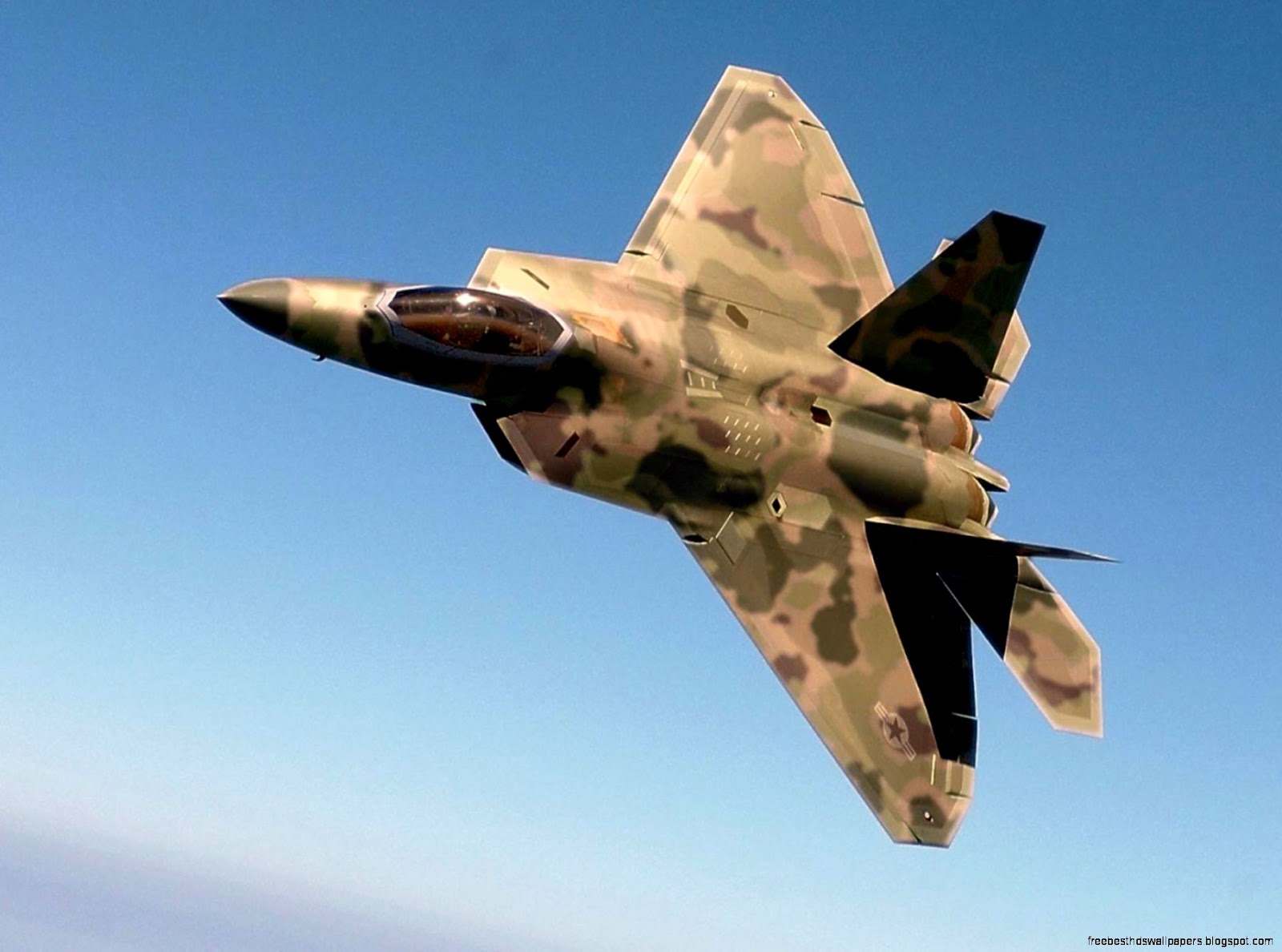 F 22 Raptor Camouflage F 22 Raptor Camouflage