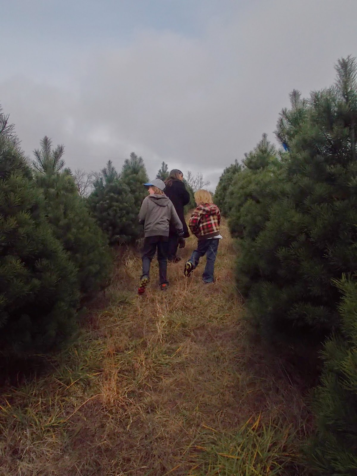 Primitive Gypsy Oh Christmas Tree (Farm) Oh Christmas Tree (Farm