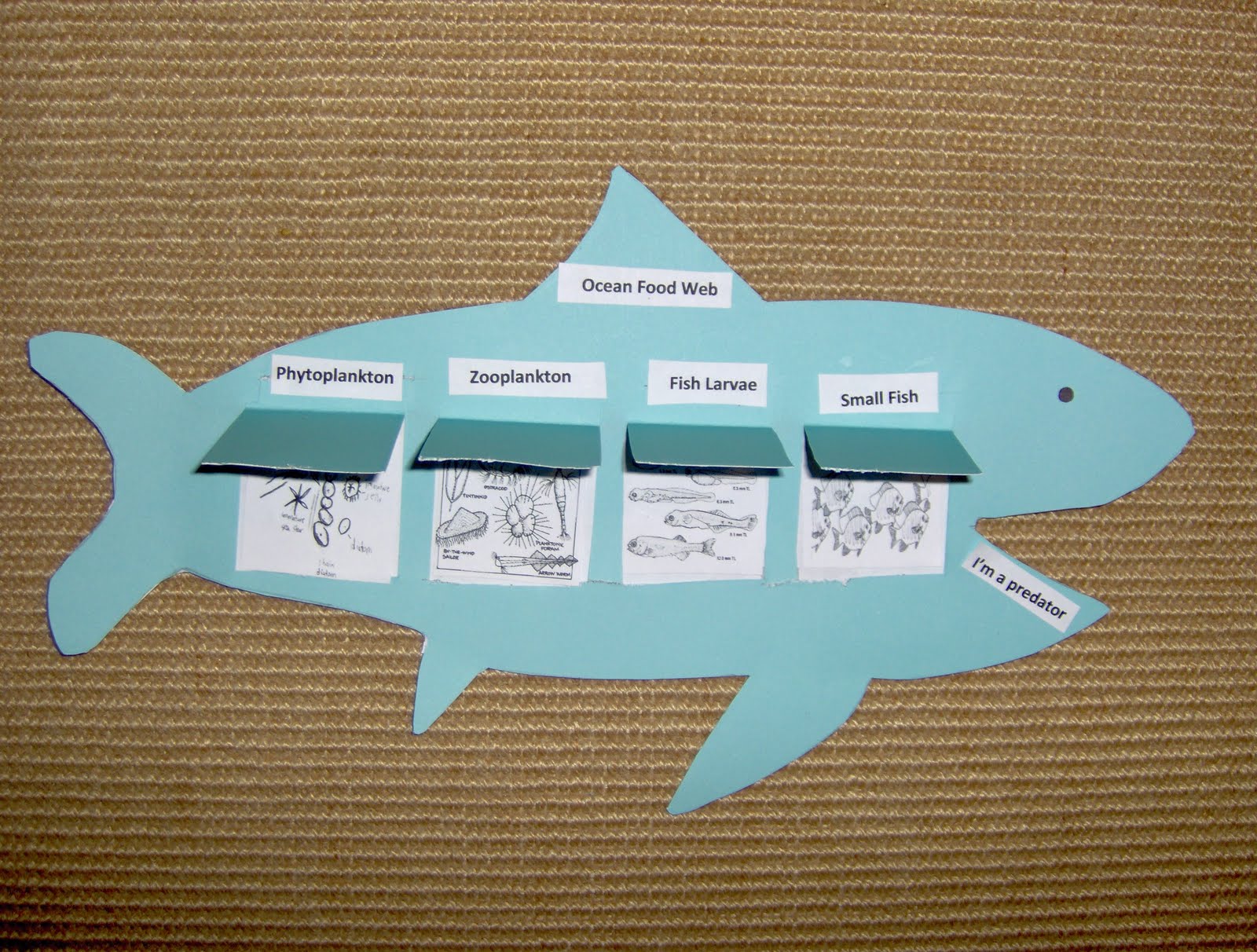 Bookish Ways in Math and Science: Unit Resource Portfolio: Oceans