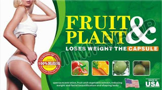 FRUIT_PLAN_160311210326_ll.jpg.jpg