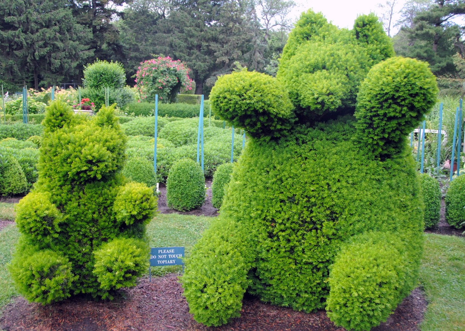 Kreativiti seni gubahan pokok hiasan - Relaks Minda