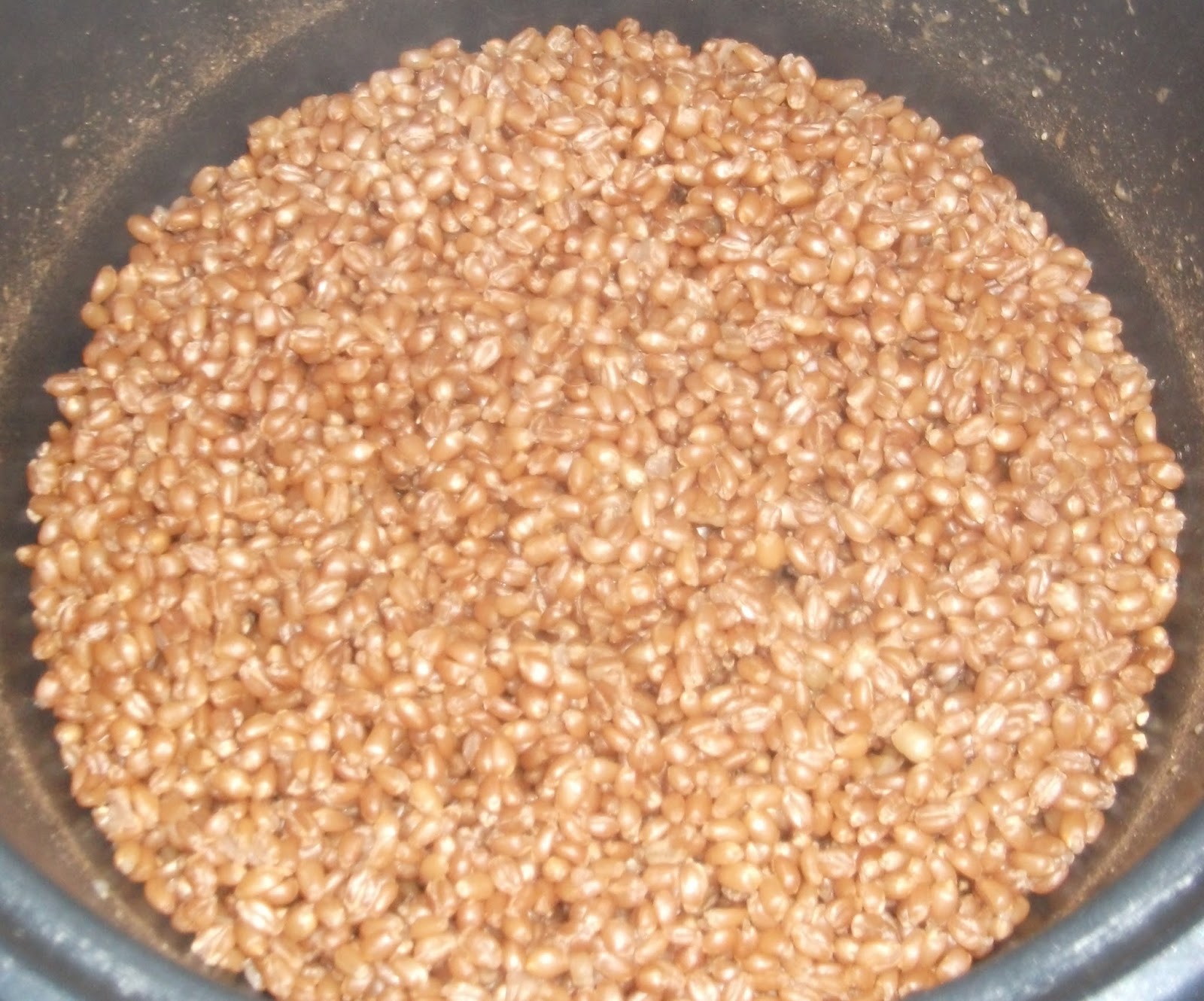 Whole Grain Happiness Wheat Berry Bread