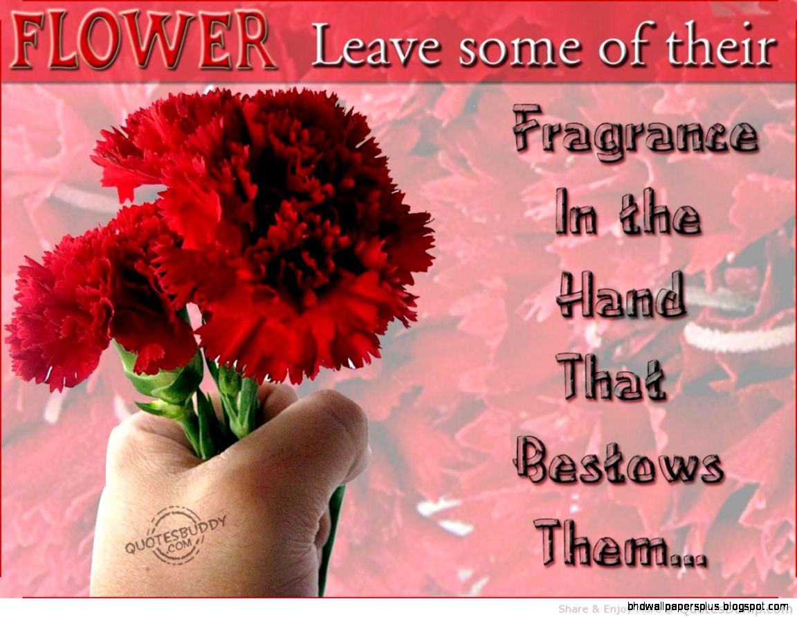 Flower Wallpaper With Quotes QuotesGram Flower Wallpaper With Quotes QuotesGram