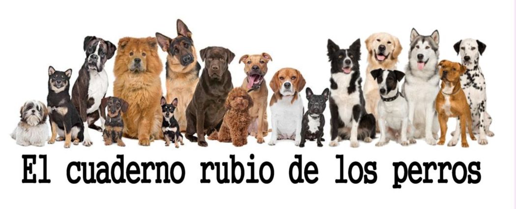 Cuaderno rubio para Perros