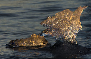 A golden ice bird