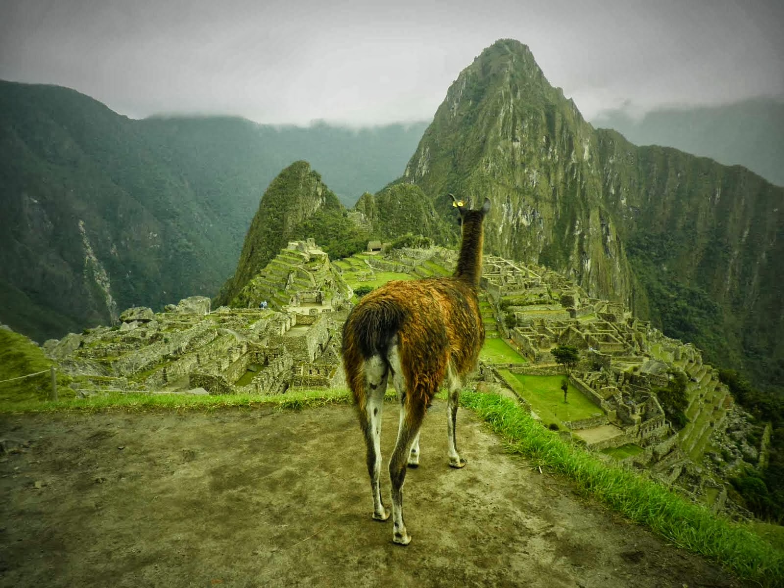 Alguno Tours Interesantes en Cusco Peru