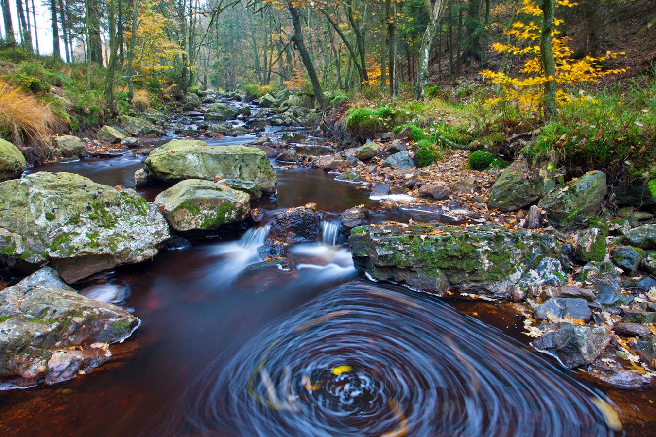 VIVA Bélgica ARDENAS