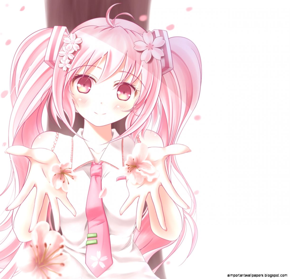 Sakura Miku Vocaloids Blossom Anime Girl Hd Sakura Miku Vocaloids Blossom Anime Girl Hd