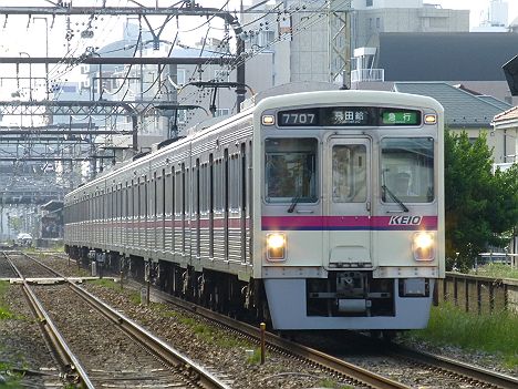 【速報】なんと急行飛田給行きがダービー臨で運転される！【7000系】