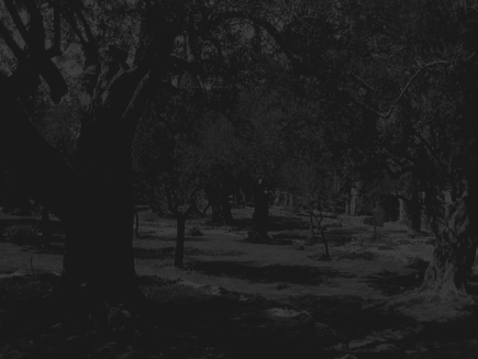 Scarry Thoughts Thoughts Before Holy Week Talk About The Passion With R E M
