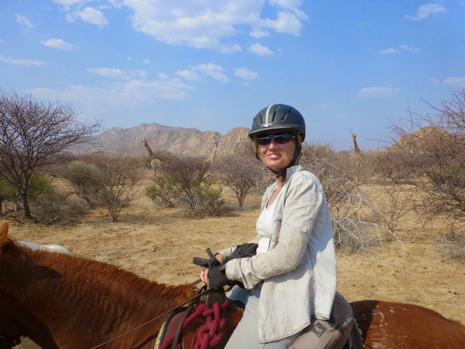 Willkommen Erongo Trail Reiten In Namibia Tagebuch