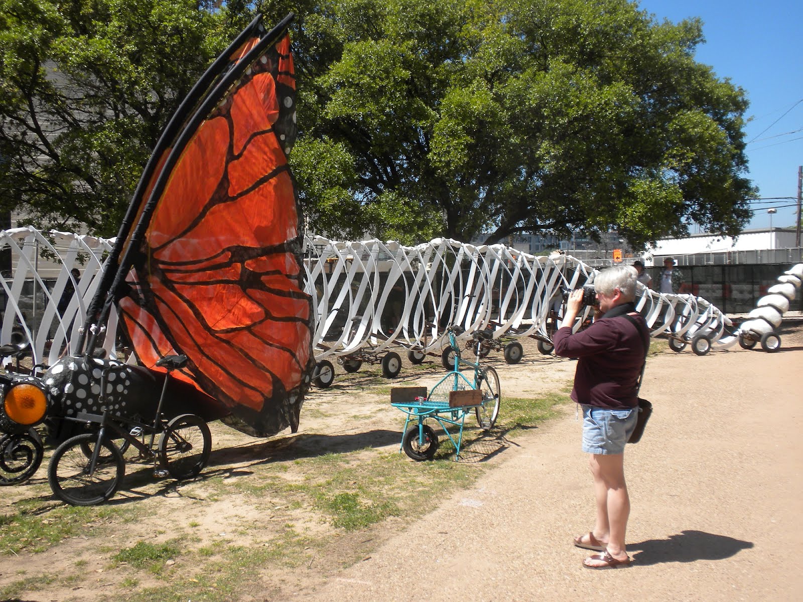 Austin, Texas Daily Photo Austin Bike Zoo
