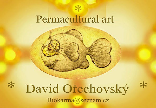 David Ořechovský / Sv. David Oříškový / Ochrana vody / Permaculture Art / OdA / MASTA / Kingdom.com