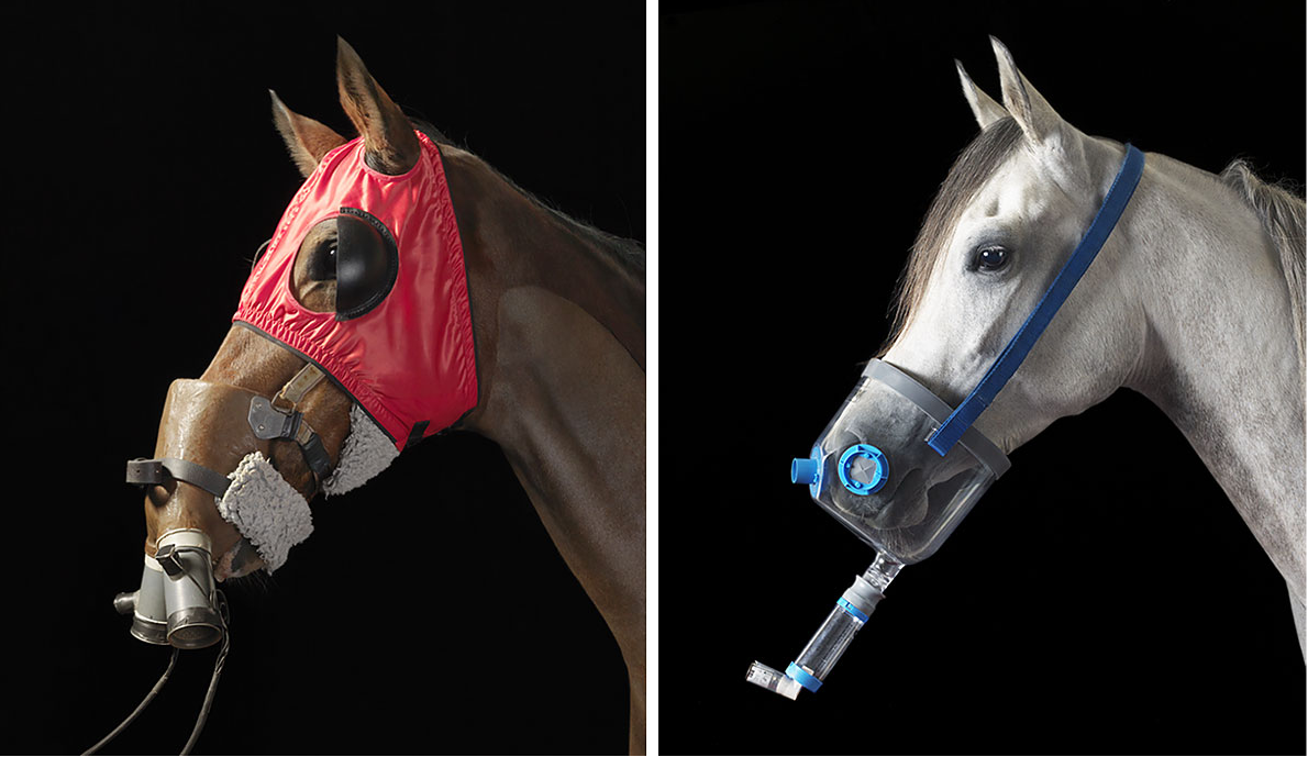 Tim Flach Photography Equus Equestrians & Horses Pinterest