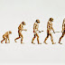 Pengertian Evolusi thumbnail