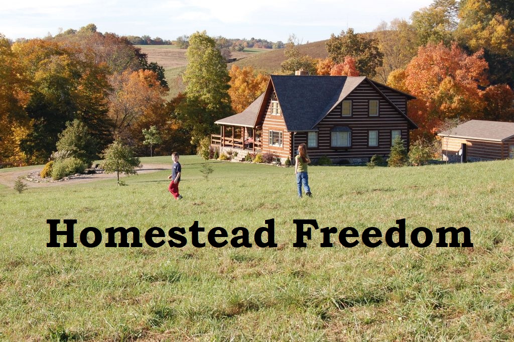 Homestead Freedom